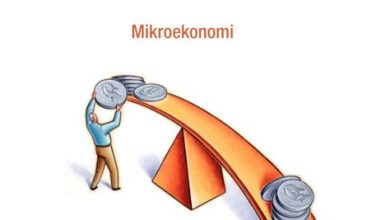 Mikroekonomi ve Makroekonomi Farkları